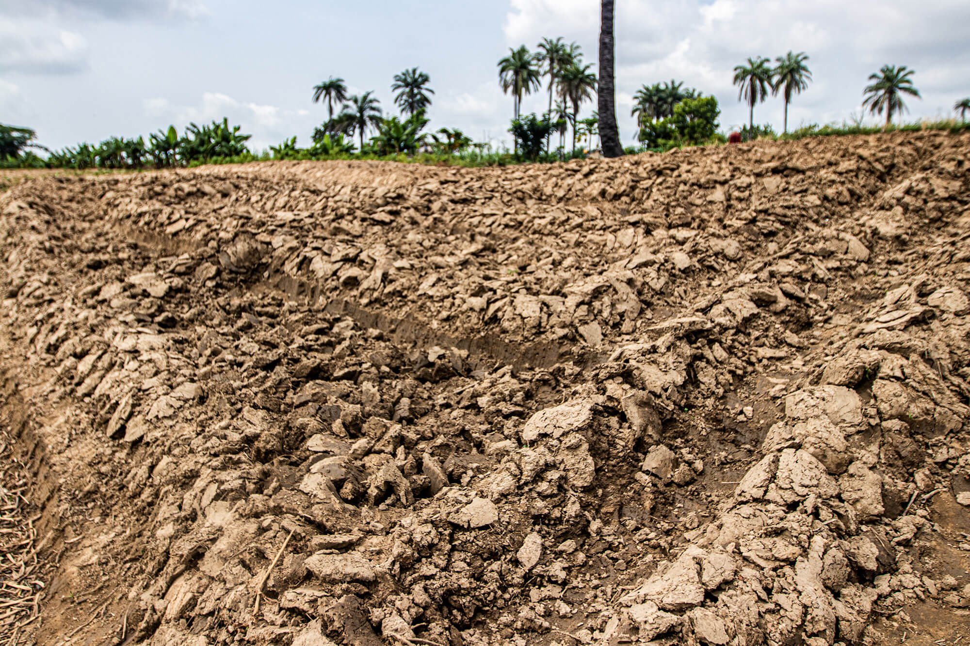 Climate Security Nexus 1 (11)